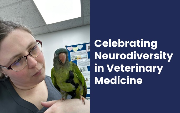 Celebrating Diversity in Veterinary Medicine: Kristina Hunter