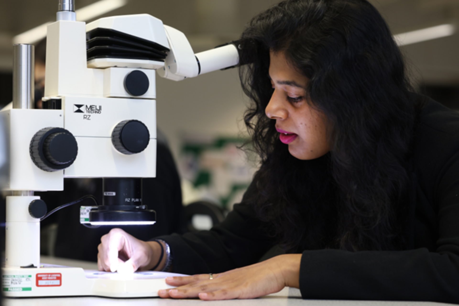 Student carrying out study under a microscope