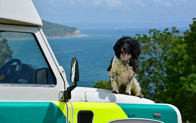 Alumnus Lawrence Dodi's spaniel Peggy Sue sits on the bonnet of the ambulance overlooking a blue sea