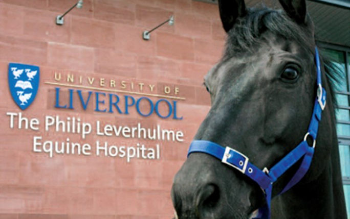 A picture of the Philip Leverhulme Equine Hospital with a black horse to the right of the frame