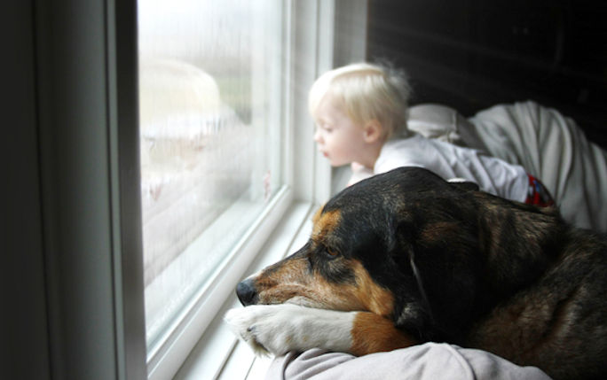 A dog and small toddler sit in companionable silence looking out a misty grey window