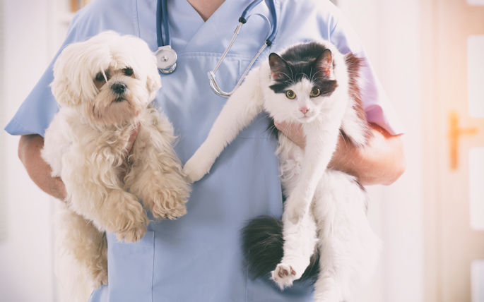 A vet holds a dog in one hand and a cat in another