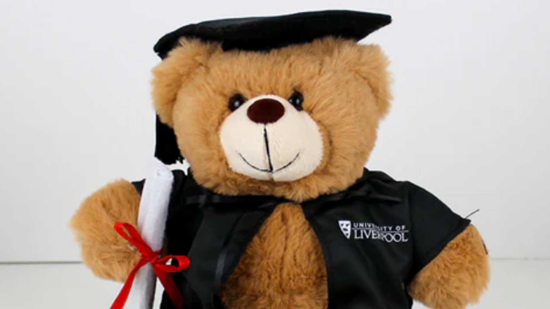 Image of a teddy bear wearing a graduation cap and gown