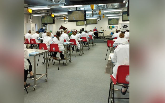 LSAVS students in the lab for the suturing practical