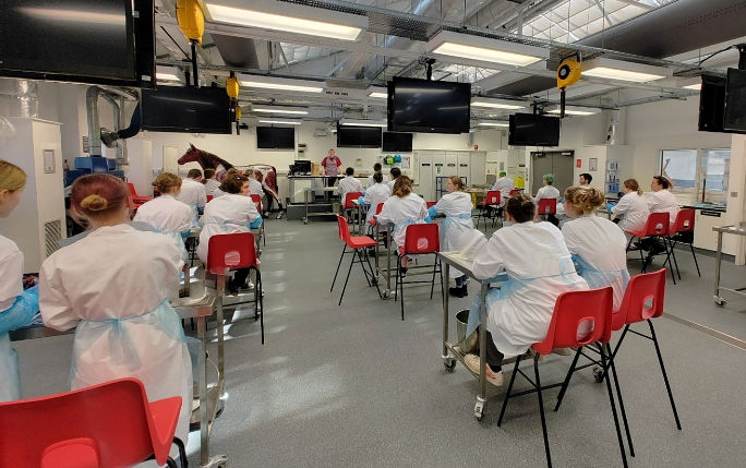 Members of the Liverpool University Veterinary Zoological Society attend the practical session in a lab
