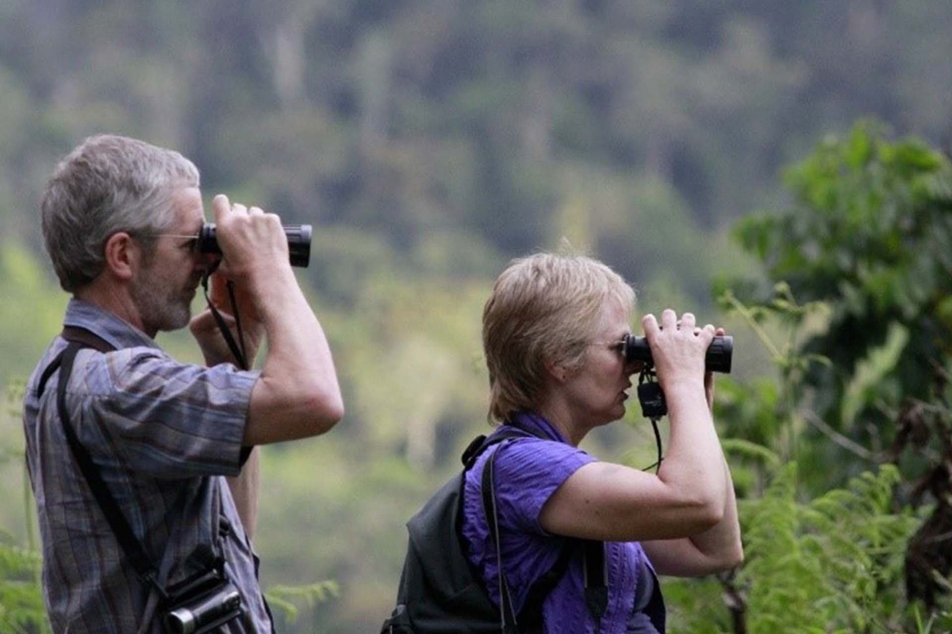 Two people bird watching