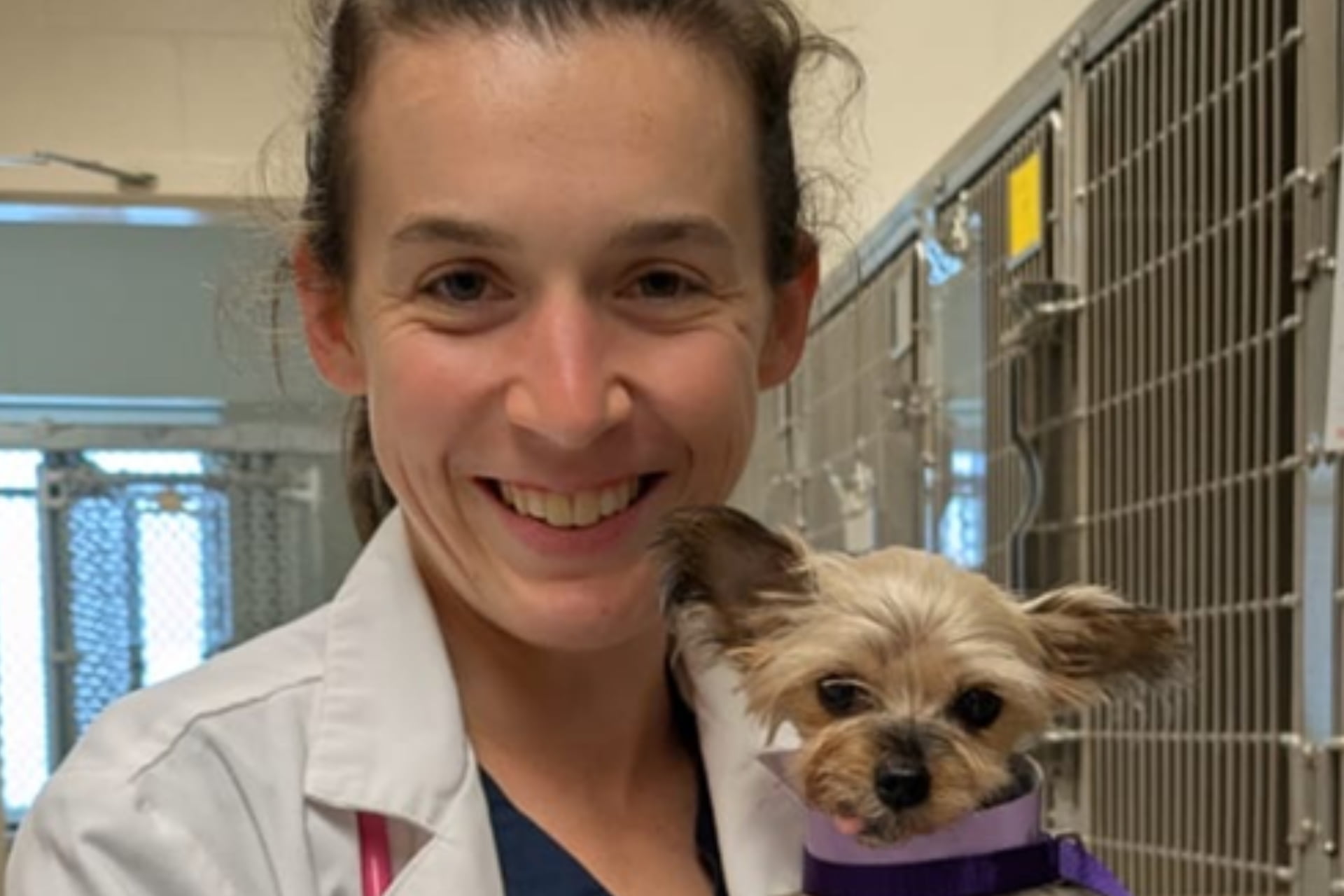 Person with a dog
