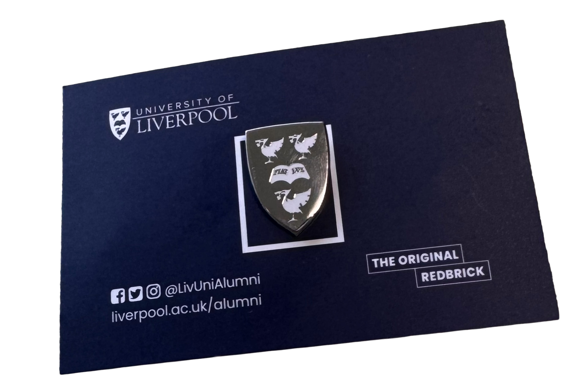 Image of a University pin badge