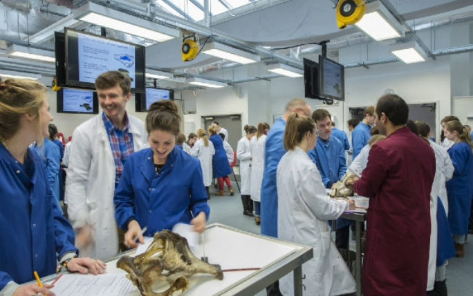 Students in a vet lab