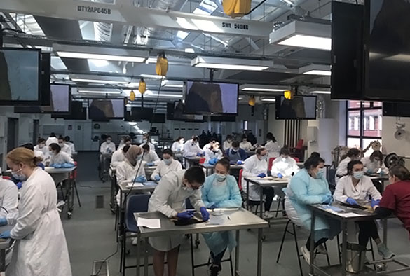 LSAVS students in a lab